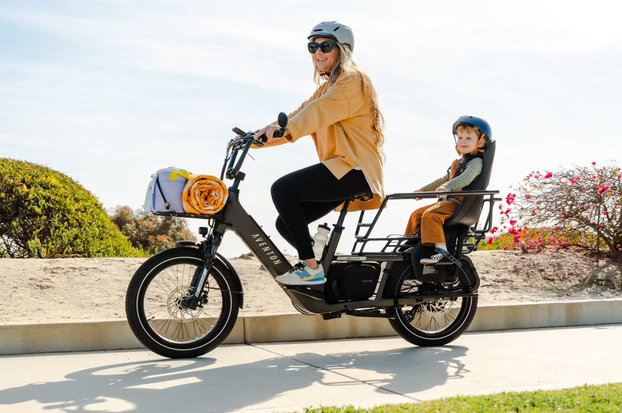 Electric Bikes