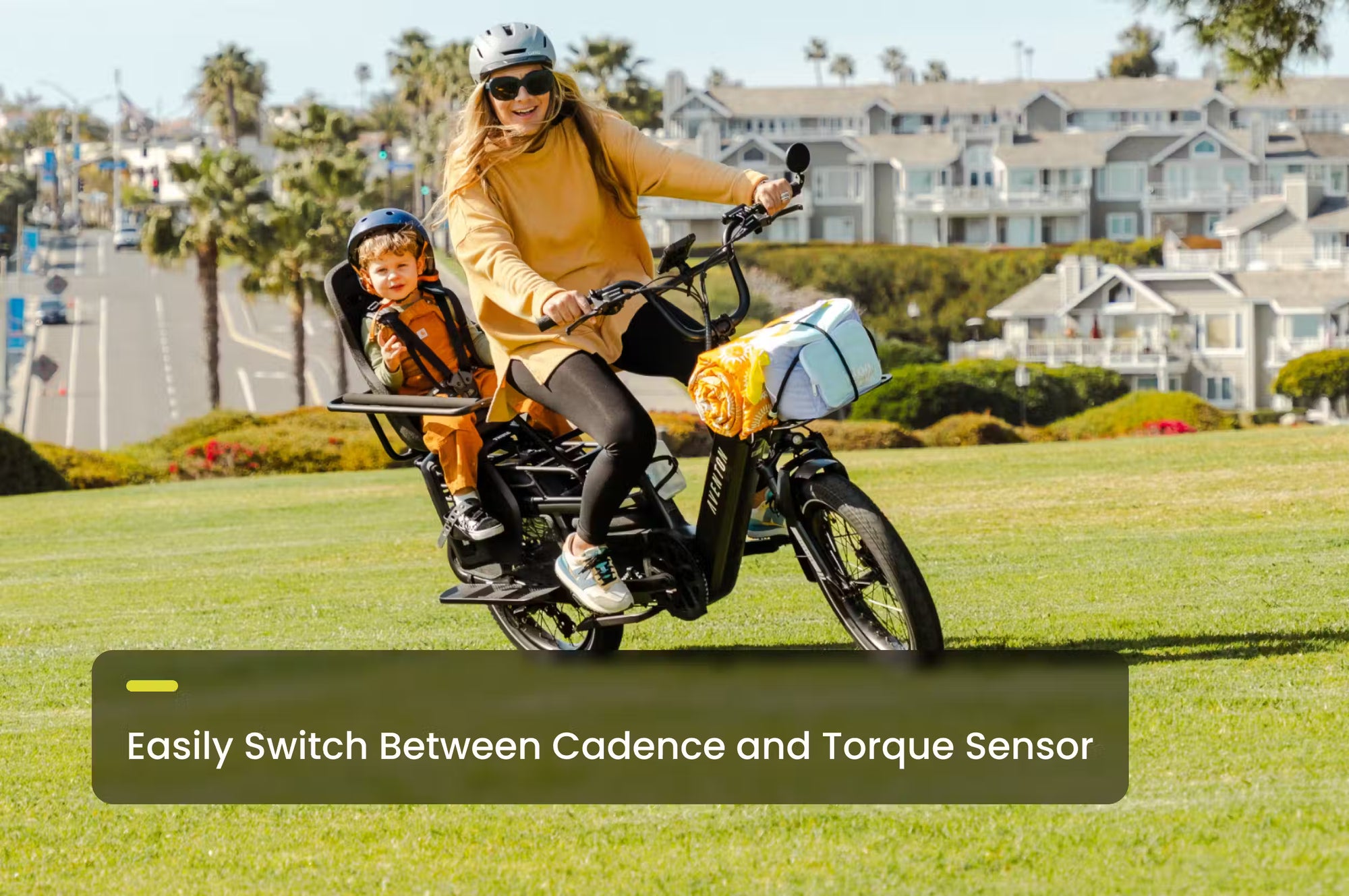 Aventon Abound LR Cargo Ebike