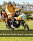 Aventon Abound LR Cargo Ebike
