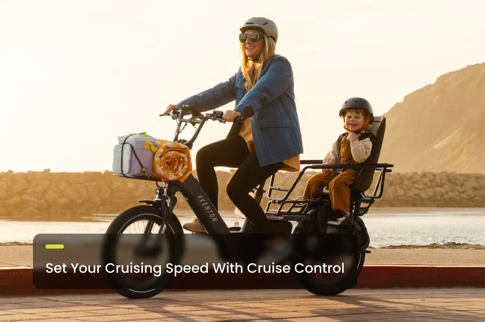 Aventon Abound LR Cargo Ebike