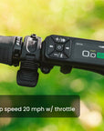 Aventon Abound SR Cargo Ebike