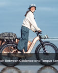 Aventon Aventure 3 Ebike