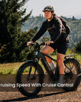 Aventon Aventure 3 Ebike