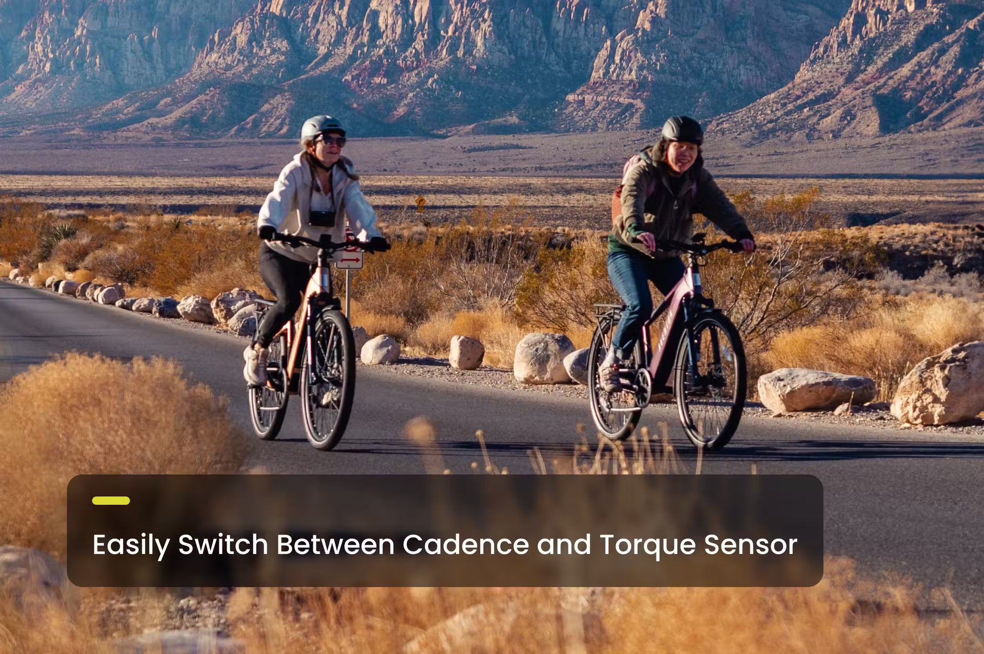 Aventon Level 3 Step Through Ebike