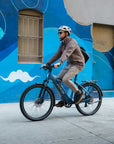 Aventon Level 4 REC Step Through