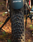 Aventon Aventure 3 Ebike