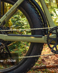 Aventon Aventure 3 Ebike
