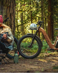 Aventon Aventure 3 Step Through Ebike
