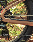 Aventon Aventure 3 Step Through Ebike
