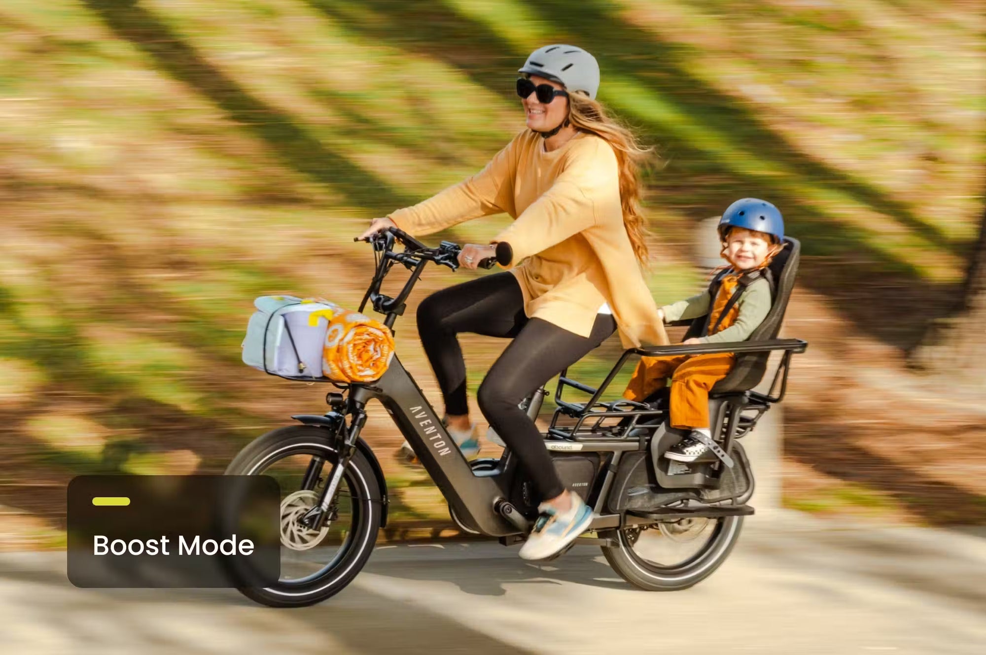 Aventon Abound LR Cargo Ebike