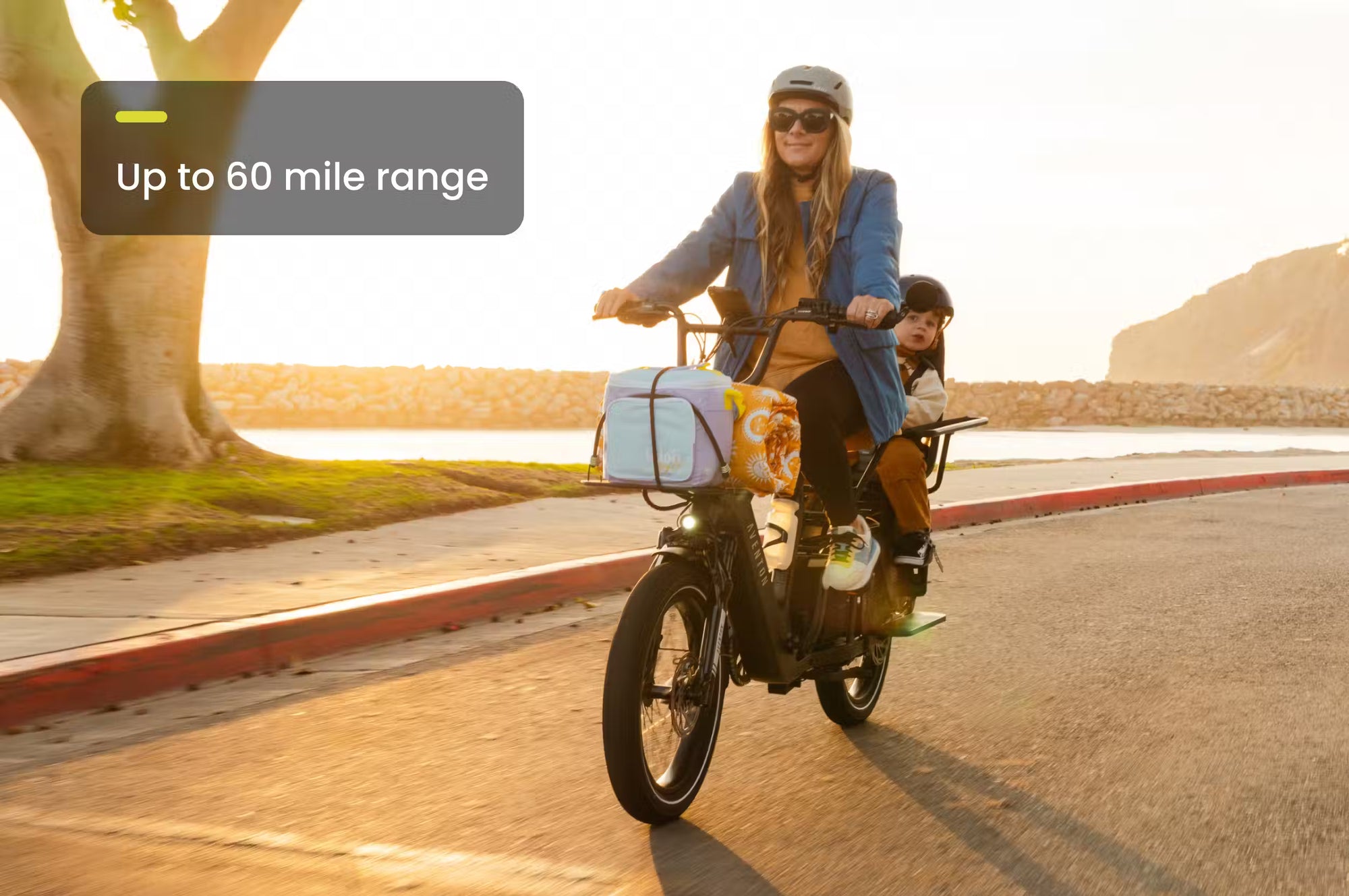 Aventon Abound LR Cargo Ebike