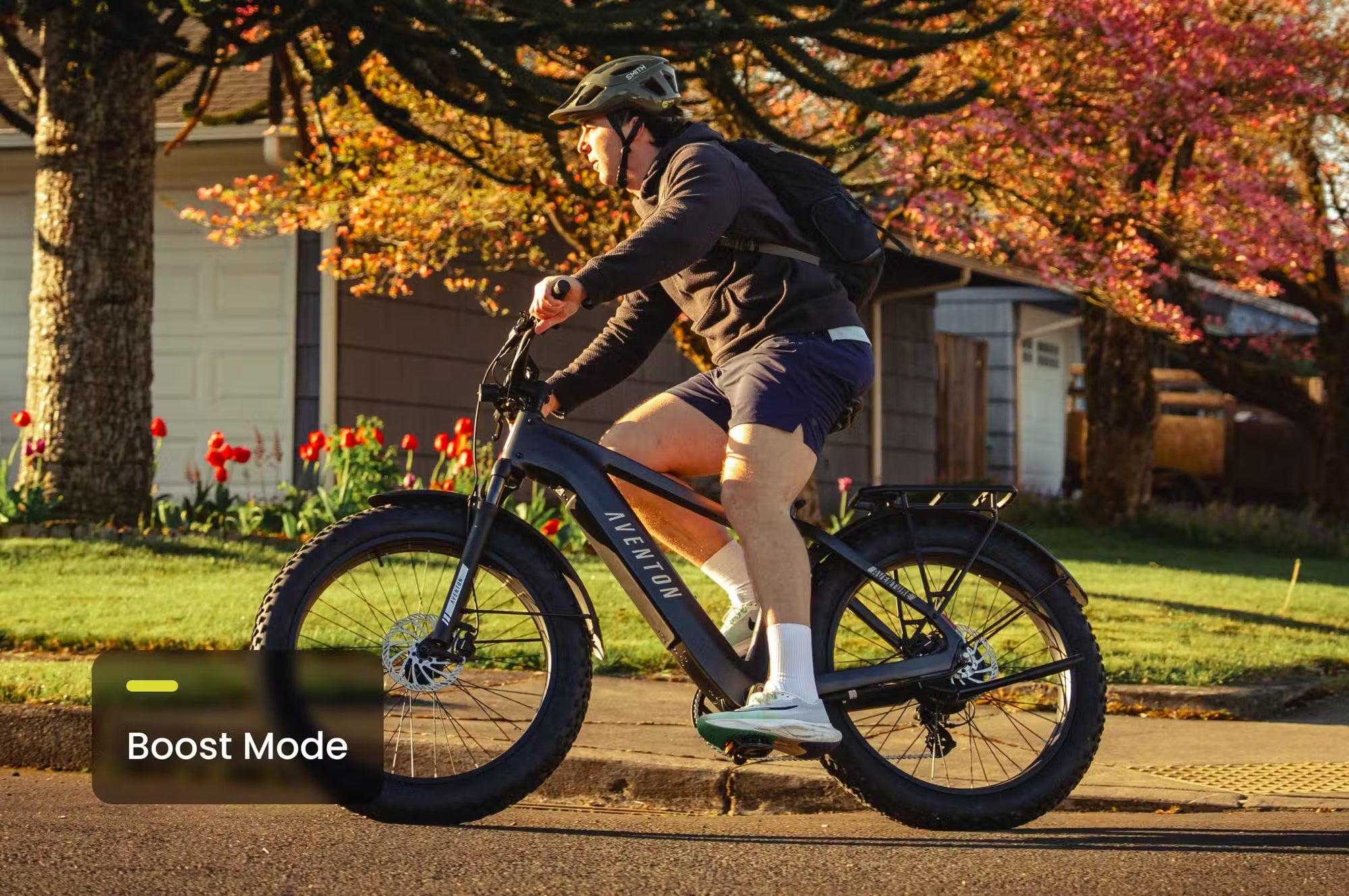 Aventon Aventure 3 Step Through Ebike
