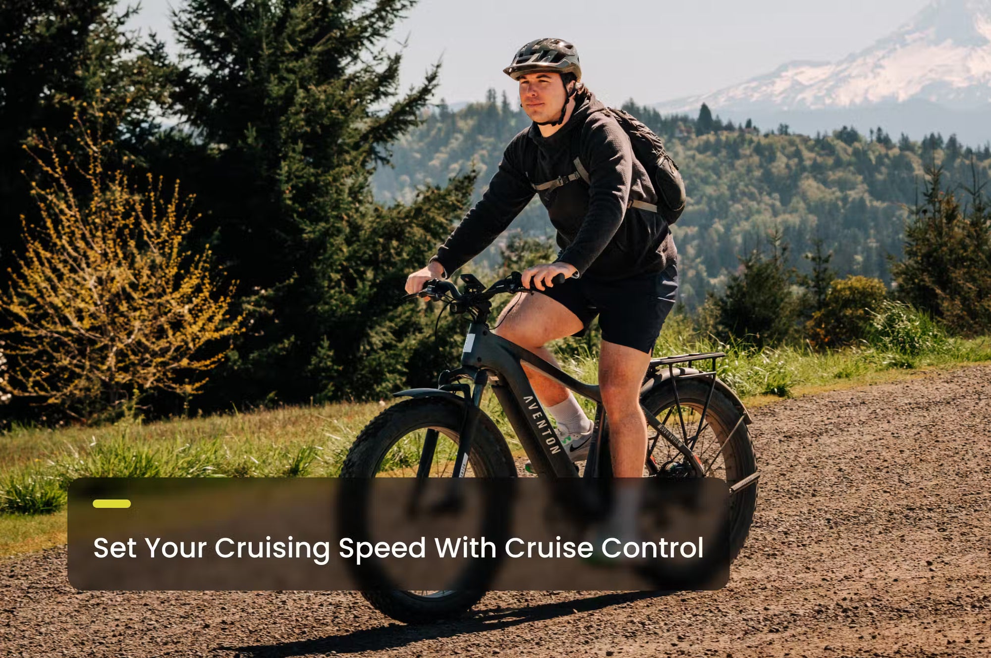 Aventon Aventure 3 Ebike