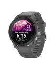 Garmin Forerunner 255 Slate Gray