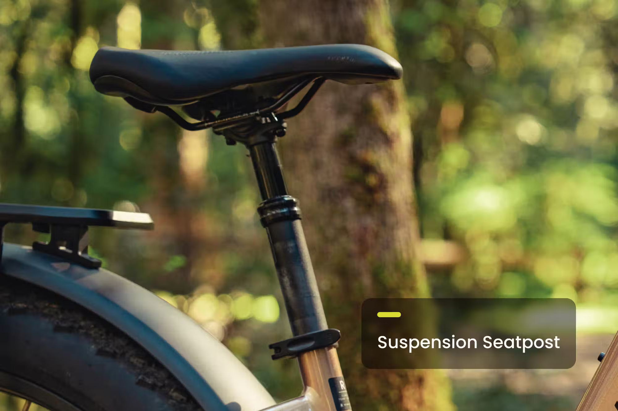 Aventon Aventure 3 Step Through Ebike